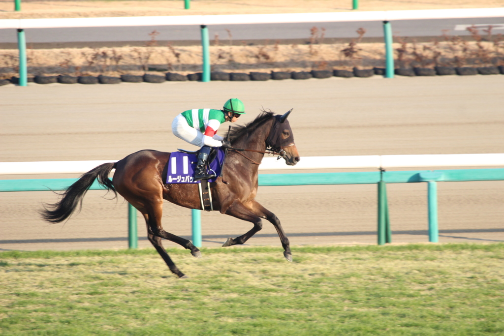 有馬記念 ルージュバック&北村宏司(5中山8)11R