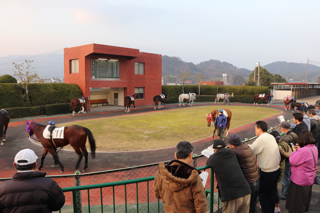 佐賀 競馬