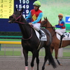 レインボーラヴラヴ&内田博幸(2東京1)12R