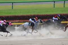 ハヤヤッコ&武豊(2東京8)9R