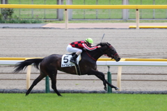 タイプムーン&宮崎北斗(2東京5)5R