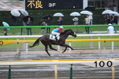 ネコビッチ&岩田康誠(4東京9)6R