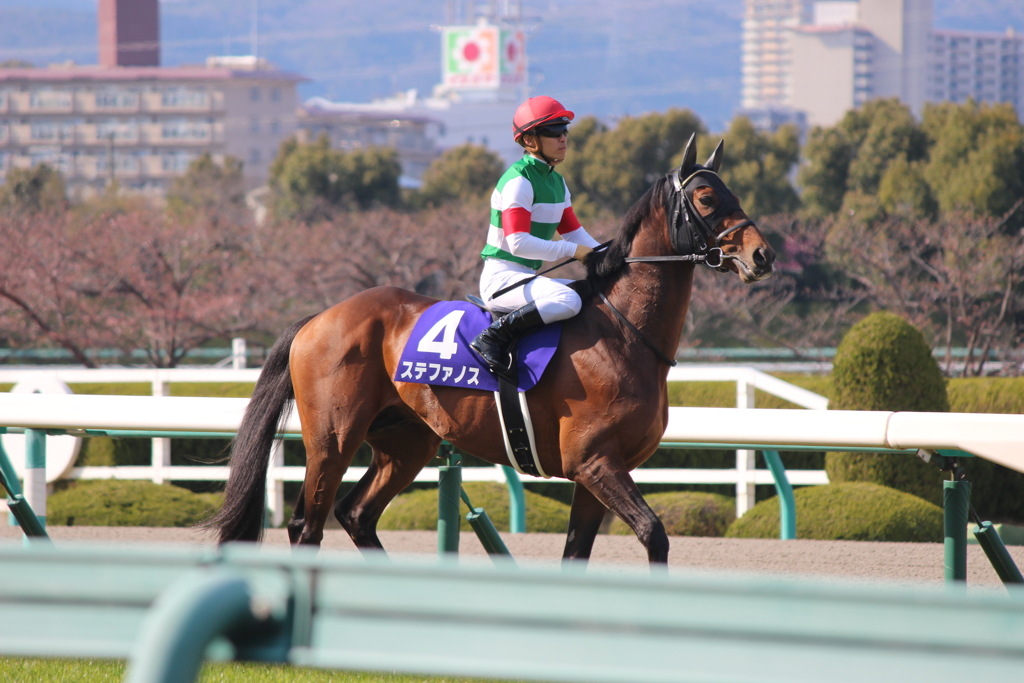 NEW大阪杯 ステファノス&川田将雅(2阪神4)11R