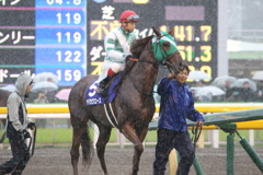 撃墜王出撃！ 秋天本馬場入場 ヤマカツエース&池添謙一(4東京9)11R