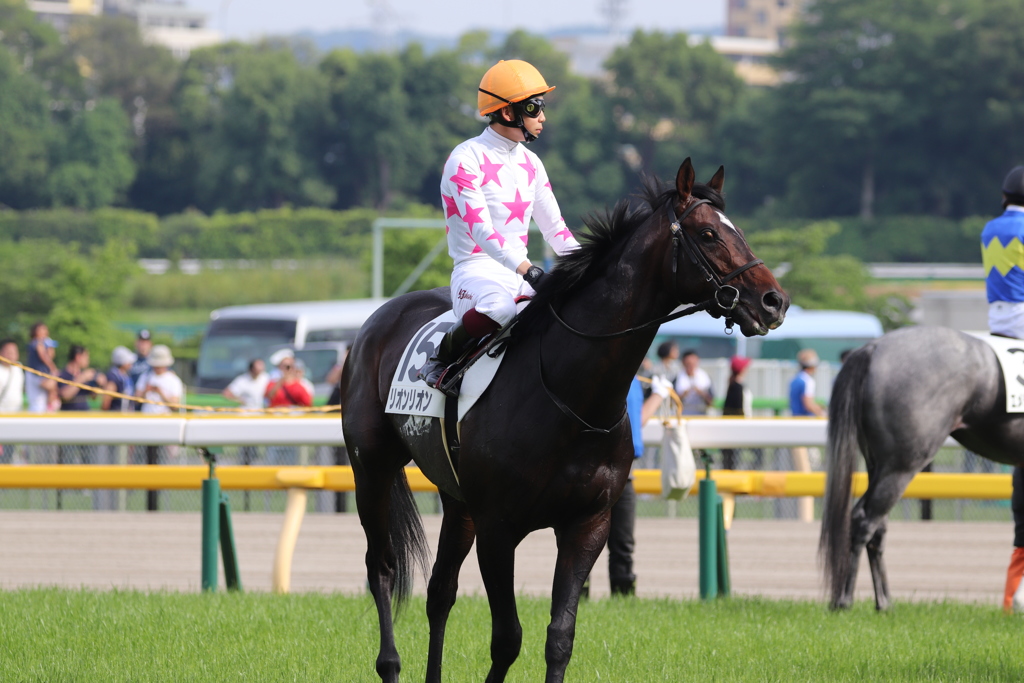 リオンリオン&横山武史(2東京12)11R