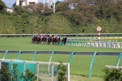 東京競馬場第4コーナー