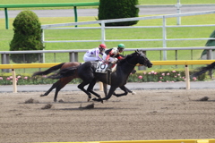 カナメ&松若風馬(2東京6)7R