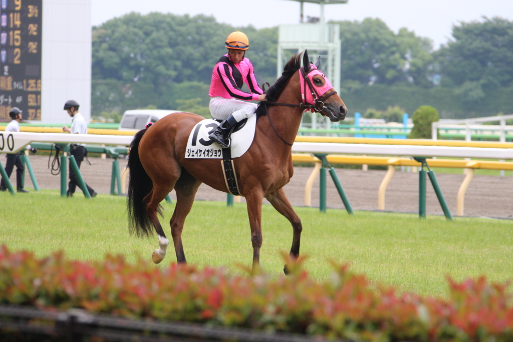 いとしのジェイケイオジョウ号(3東京8)7R