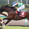 オールカマー直線