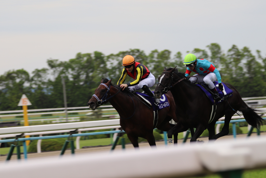 一瞬か、永遠か。 G1天皇賞春Winner