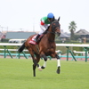 オールカマー本馬場入場 ステファノス&戸崎圭太(4中山7)11R
