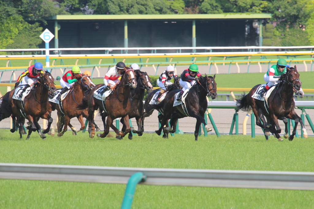 4コーナーから直線(2東京12)10R