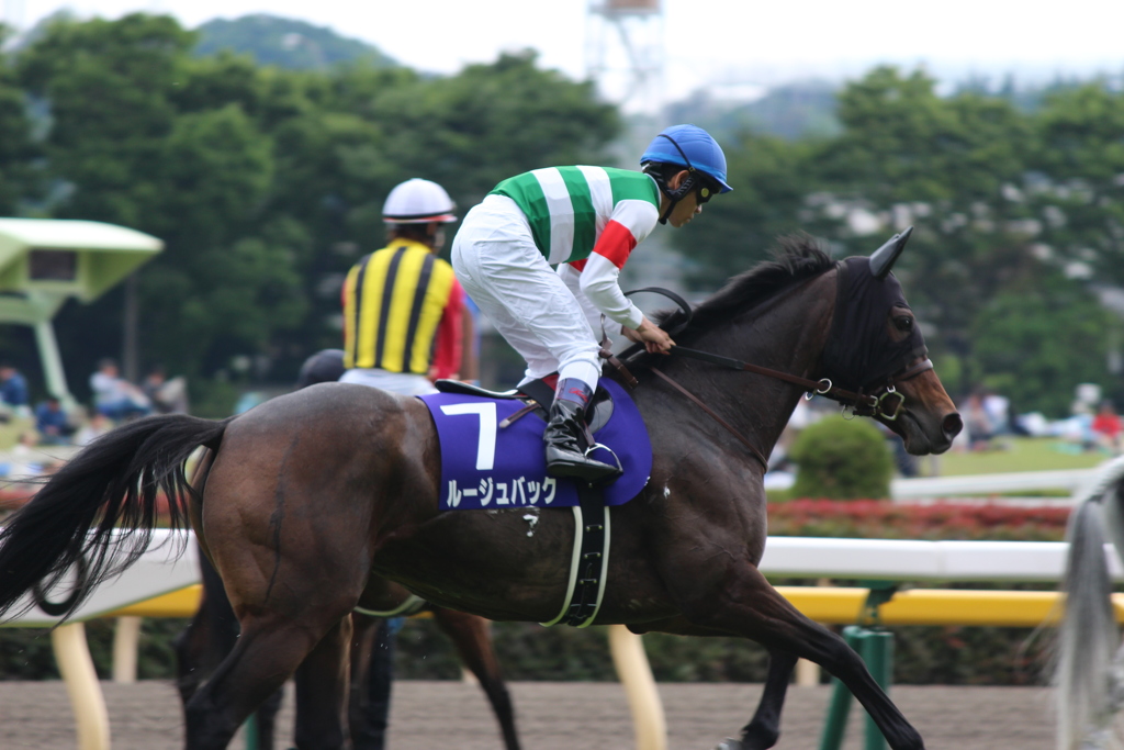 ヴィクトリアマイル本馬場入場 ルージュバック&戸崎圭太(2東京8)11R