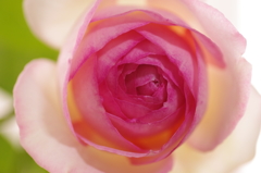 IMGP7953