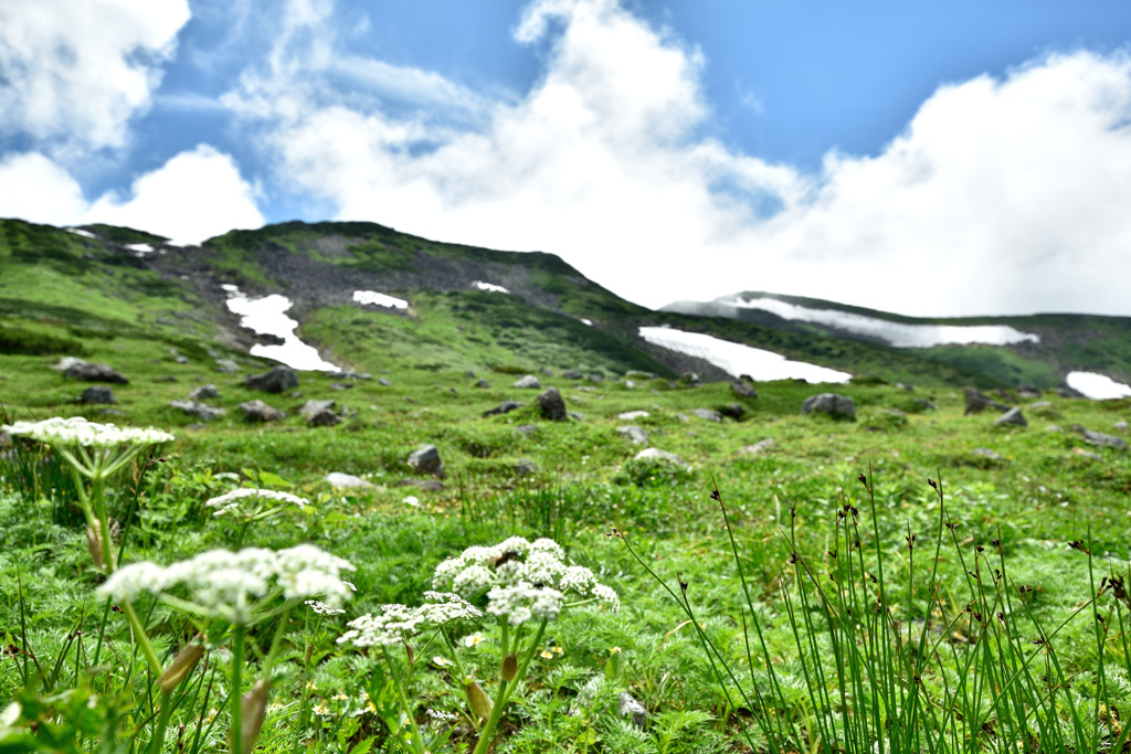 夏の立山