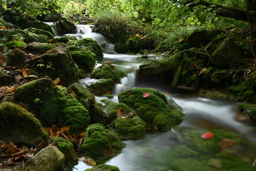 五色沼　秋の訪れ 瑠璃沼からの小川