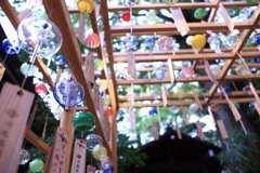 風鈴まつり