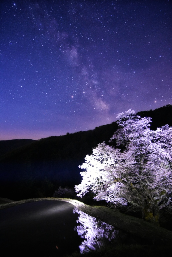 真夜中の幻想