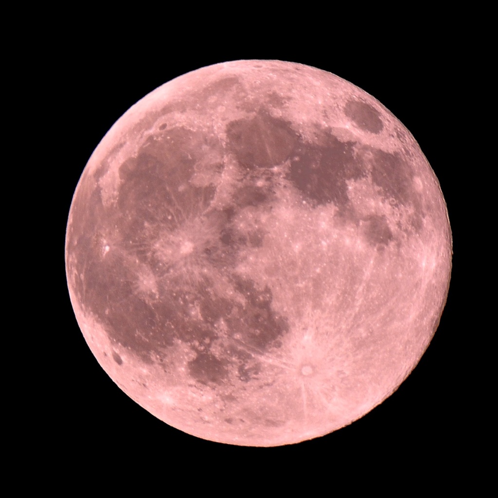 strawberry moon