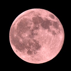 strawberry moon