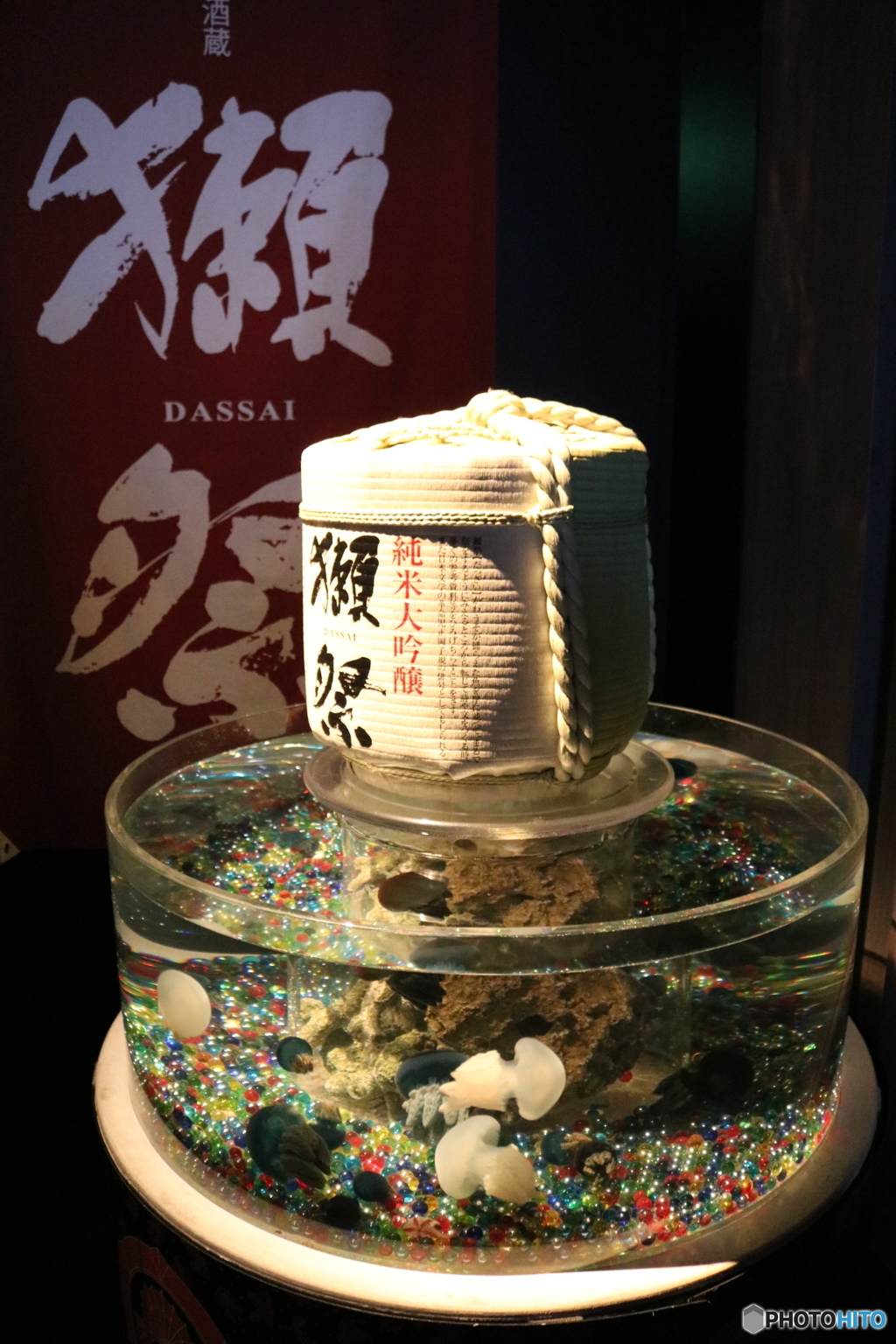 獺祭(//∇//)