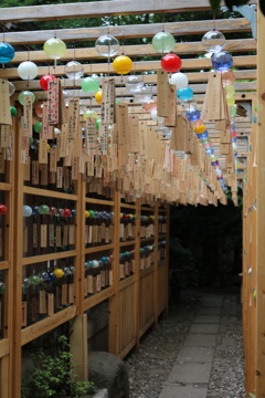 川越氷川神社