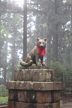 三峯神社のオオカミ