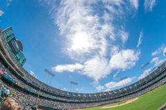Let's go Oakland!
