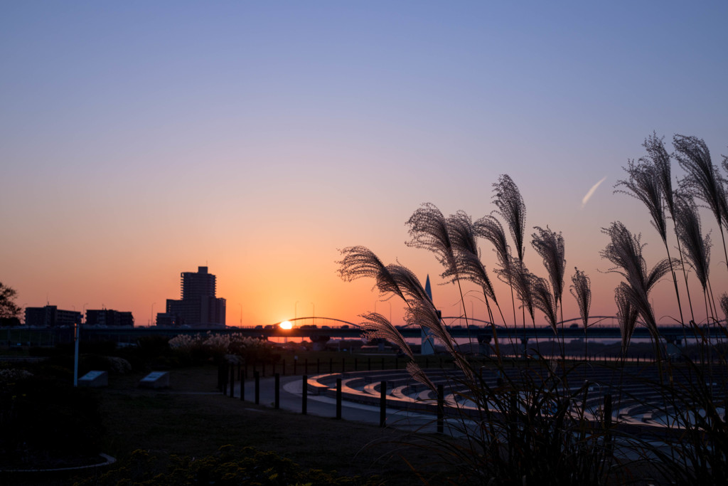 秋の夕陽