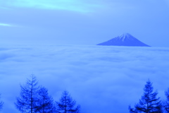 富士山と雲海
