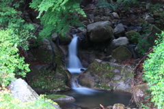 滝