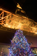 Tree and Tower