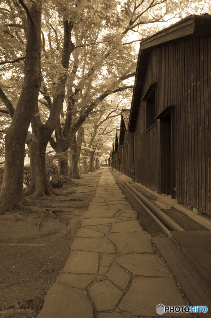 山居倉庫