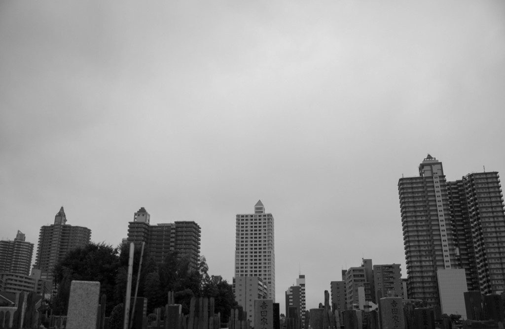 彼岸と此岸