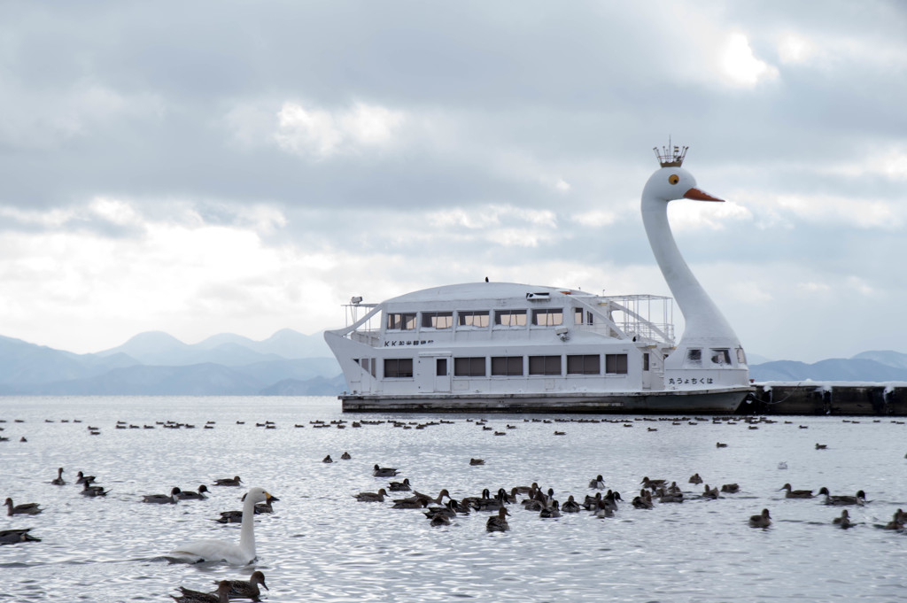 白鳥の湖