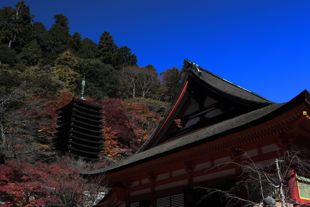 奈良 談山神社