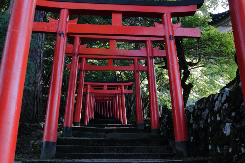 出石城跡 稲荷神社の鳥居