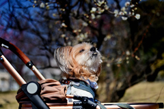 気持ちいいーー@荒山公園