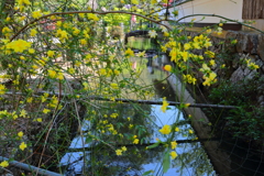 兵庫県丹波市白毫寺