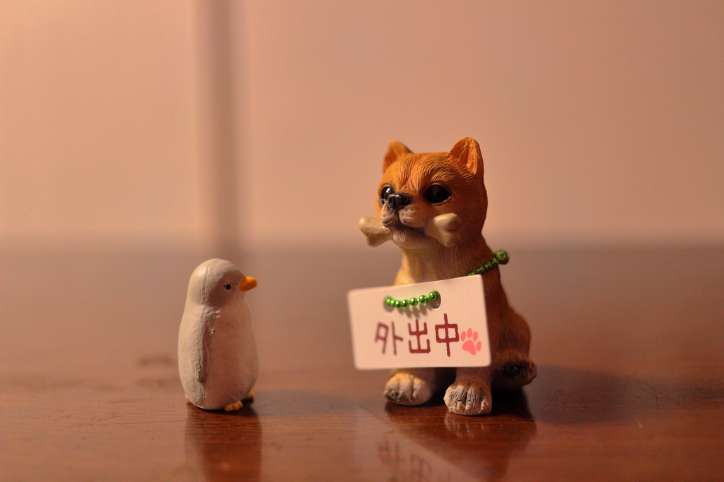 外出中・・・？