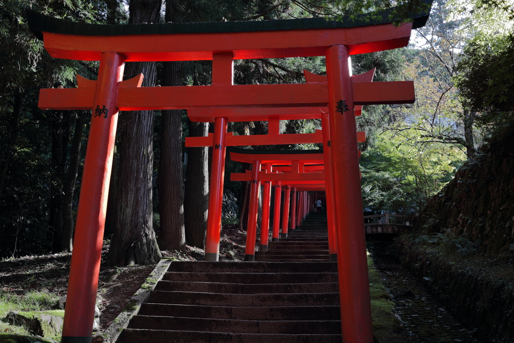 出石城跡 稲荷神社の鳥居