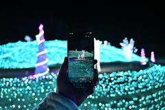 ハーベストの丘