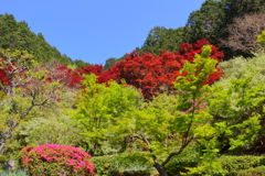 兵庫県丹波達身寺