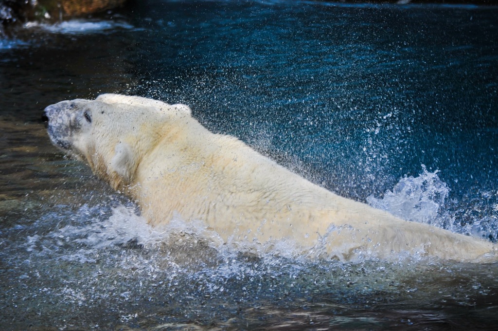 水しぶき