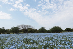 青と空と白