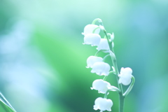 雨が降る前に