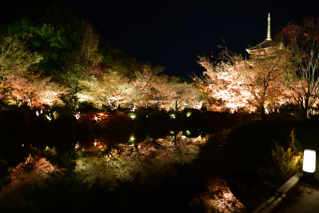 夜の東寺