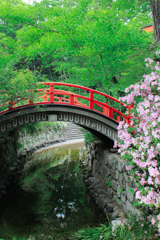 下鴨神社