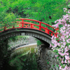 下鴨神社