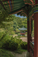 鶴見緑地の韓国庭園